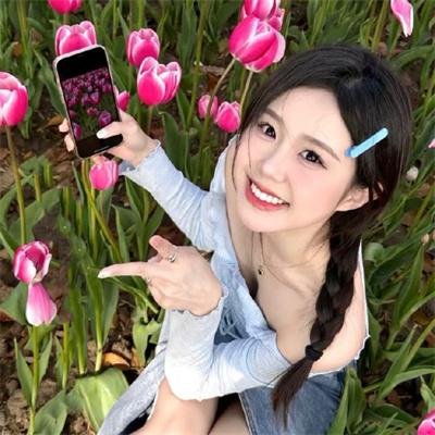 网中的太阳